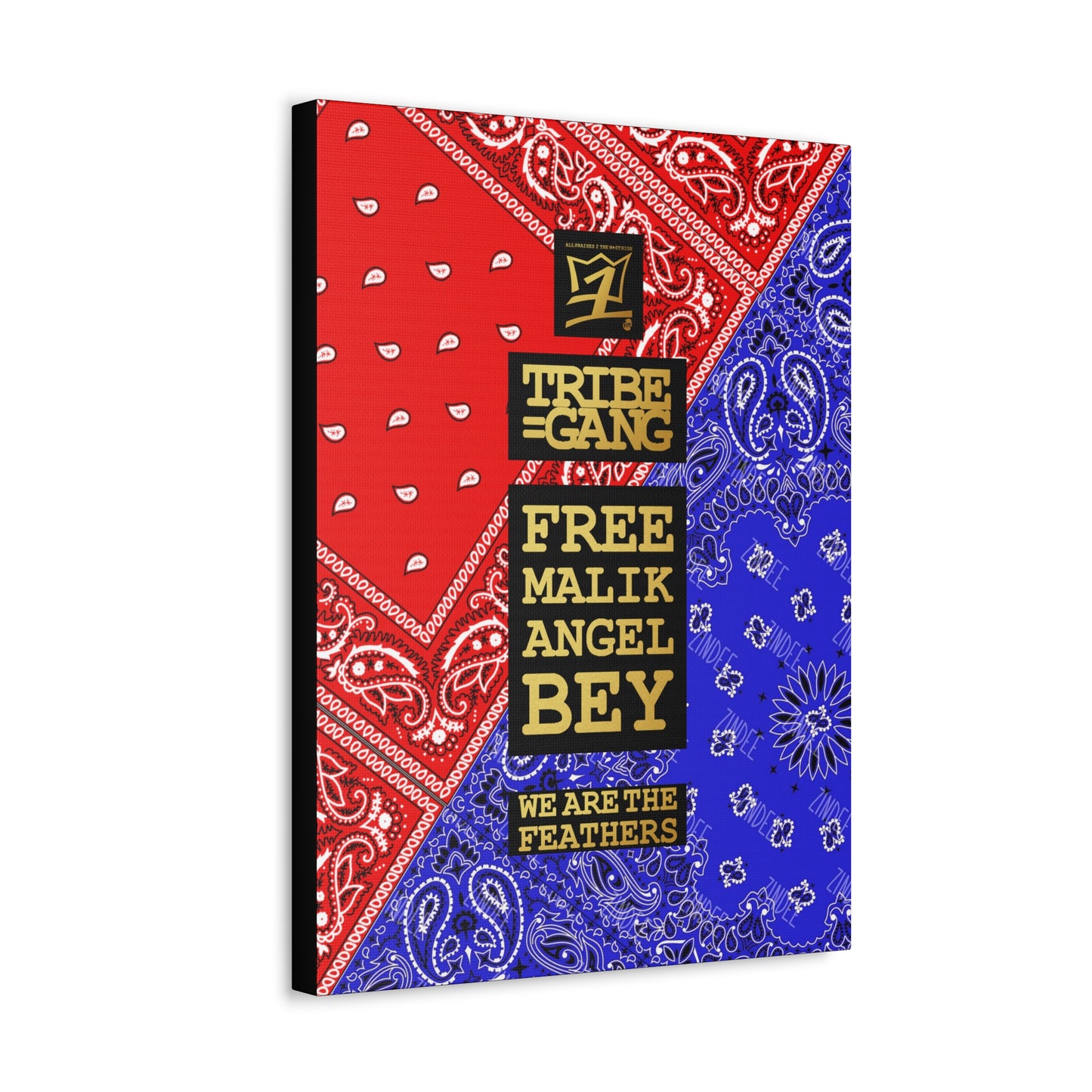 UNO ORGANIC TRIBE=GANG FREE MALIK ANGLE BEY Stretched Canvas