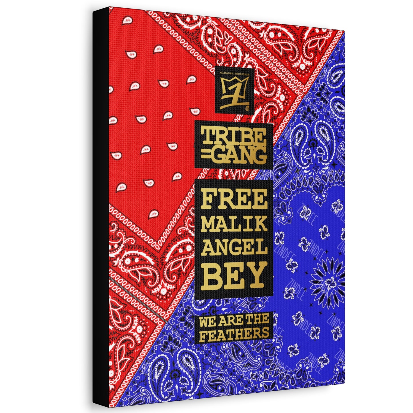 UNO ORGANIC TRIBE=GANG FREE MALIK ANGLE BEY Stretched Canvas