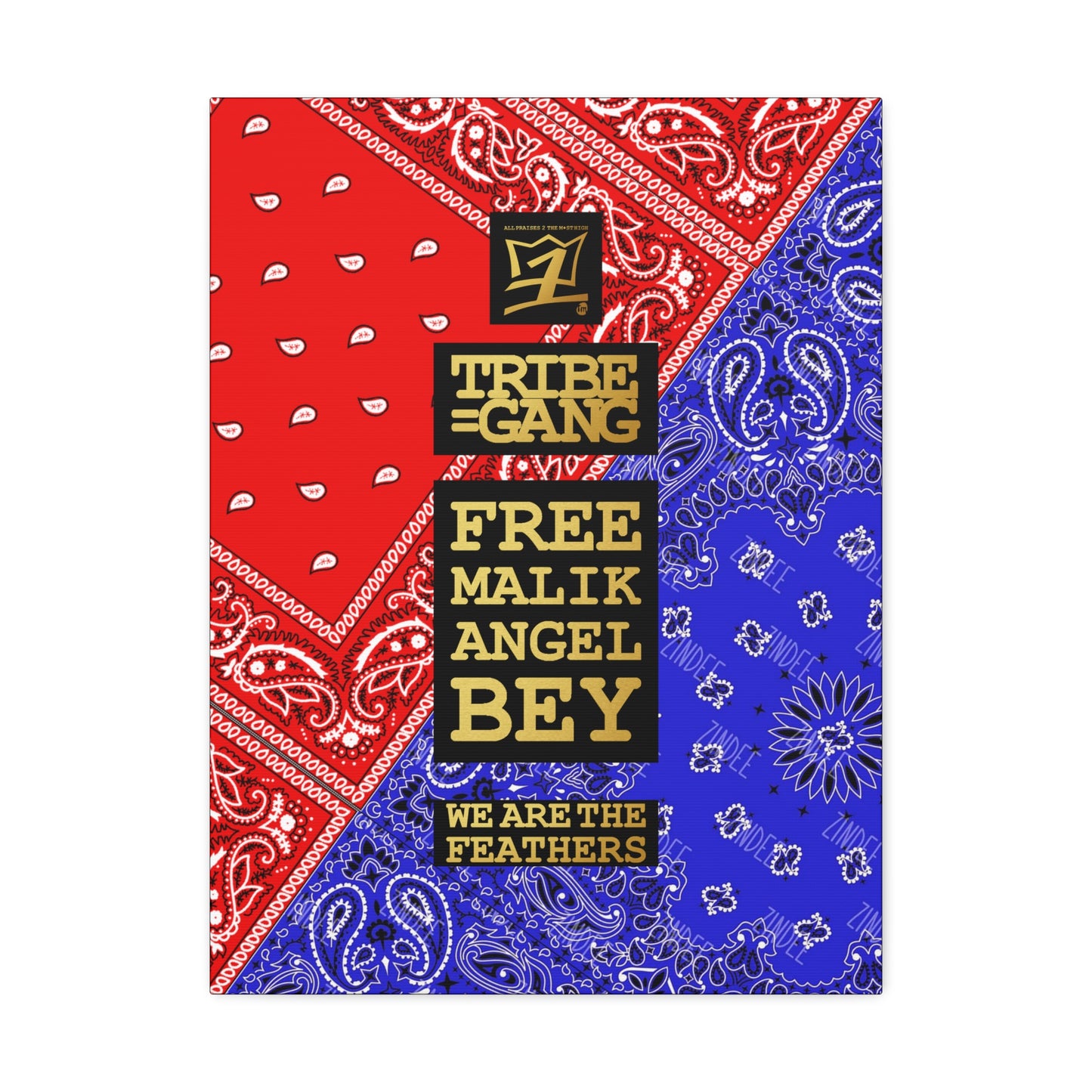UNO ORGANIC TRIBE=GANG FREE MALIK ANGLE BEY Stretched Canvas