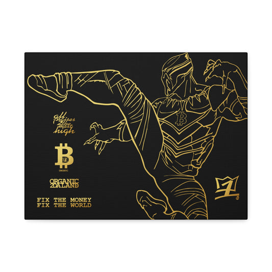 UNO ORGANIC FIX THE MONEY FIX THE WORLD UNOBTC Stretched Canvas