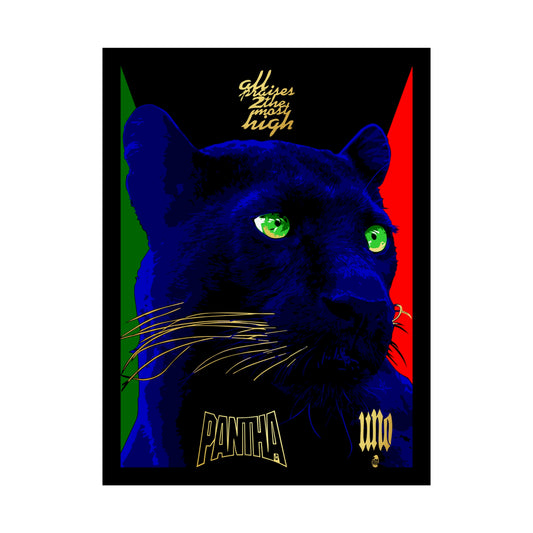 UNO PANTHA 18x24 Rolled Posters